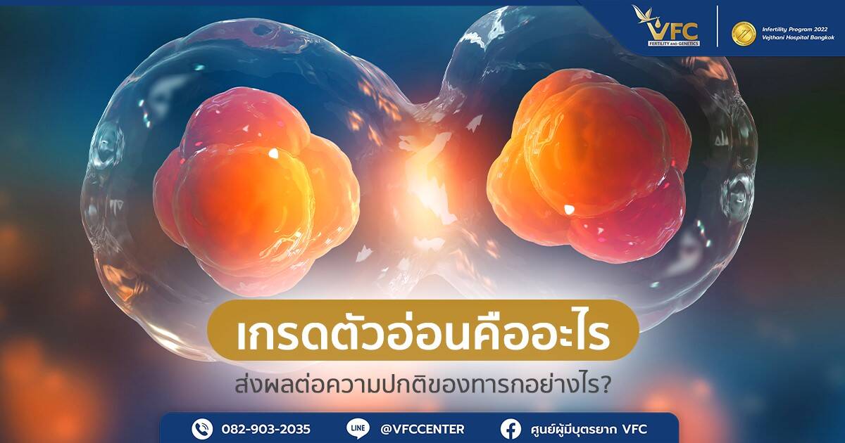 การแบ่งเซลล์ของตัวอ่อนก่อนการคัดเกรดโครโมโซมตัวอ่อน