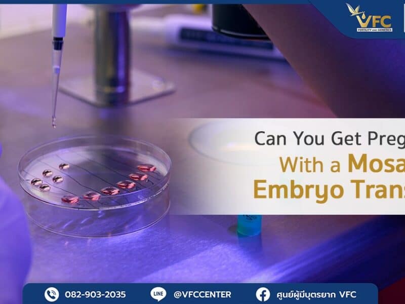 An embryologist culturing embryos while performing embryo screening