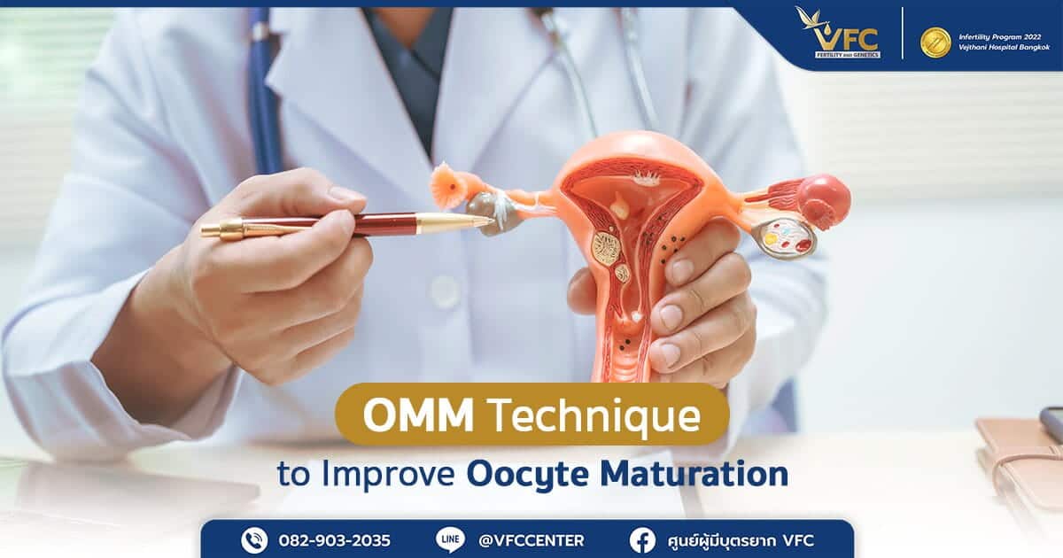 Fertility specialist explaining immature oocyte condition using a medical model with OMM technique