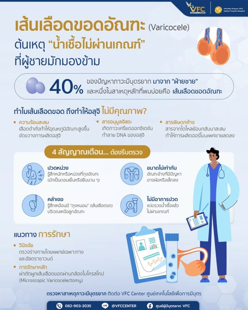 อินโฟกราฟิกเกี่ยวกับปัญหาของเส้นเลือดขอดอัณฑะ