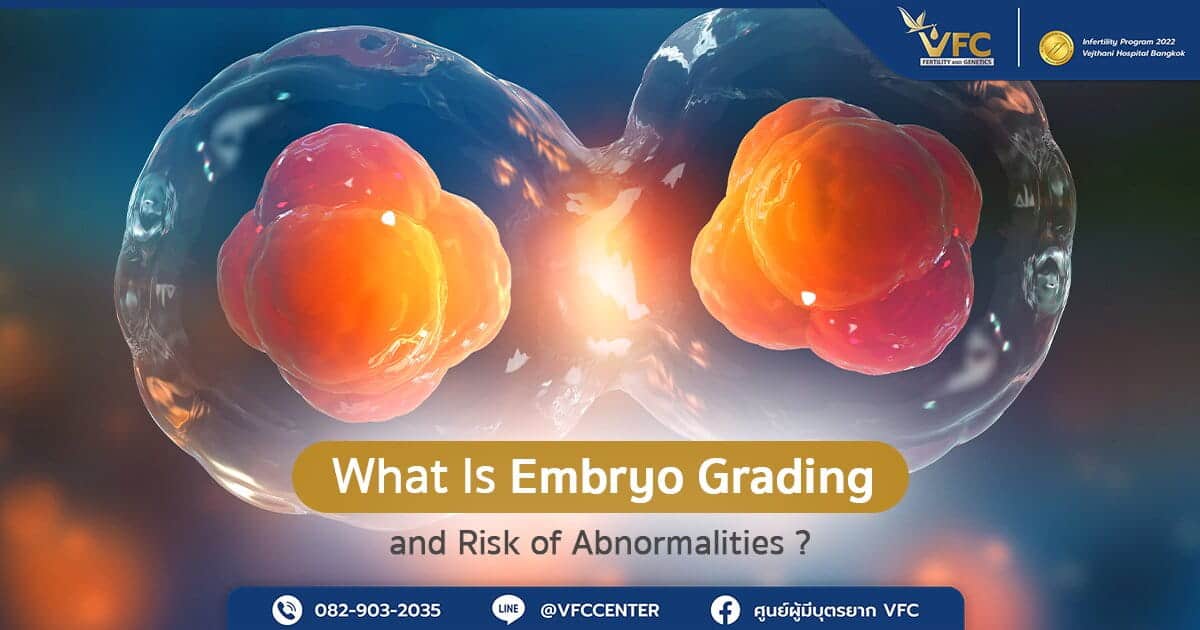 Embryo Cell Division Before Chromosomal Grading