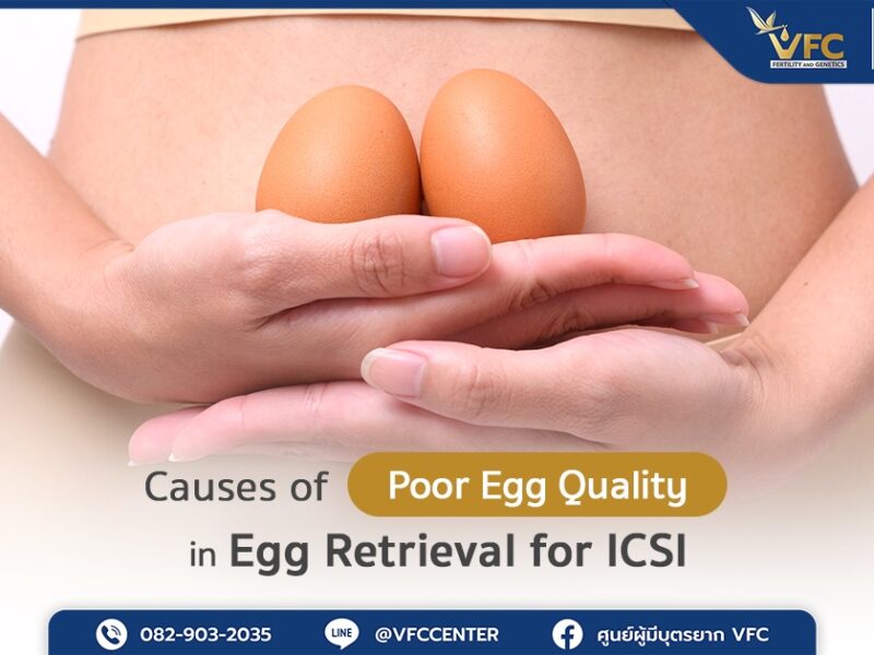 A woman holding two eggs representing the symbol of immature eggs in ICSI.