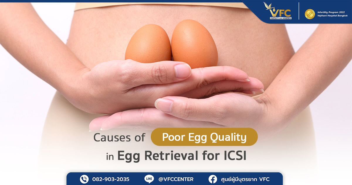 A woman holding two eggs representing the symbol of immature eggs in ICSI.