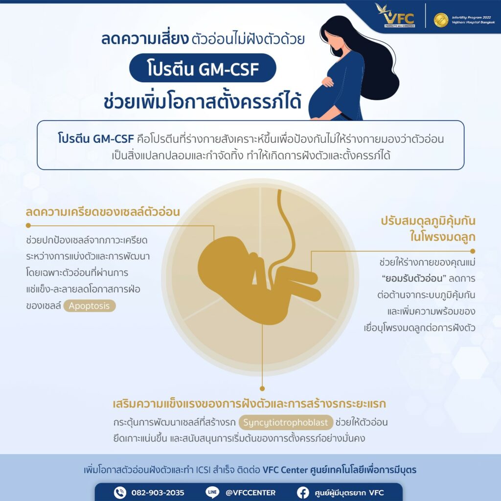 การใช้โปรตีน GM-CSF กับการเพิ่มโอกาสตั้งครรภ์