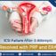 Precision medicine for thin endometrium embryo transfer timing